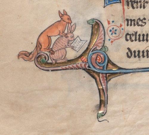 Beinecke Rare Books Library, MS. 229, f. 133v.png